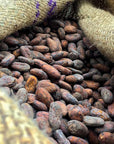 Kakao Nibs